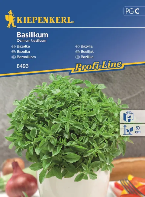 Nasiona Bazylia drobnolistna