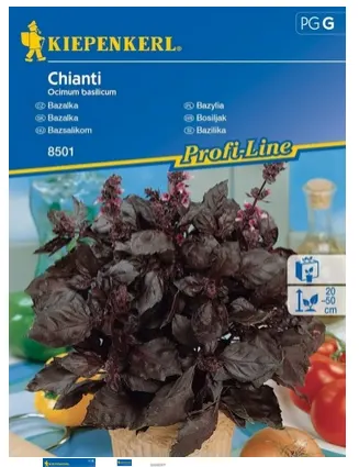 NASIONA BAZYLIA CHIANTI BRUNO