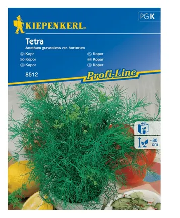 Nasiona Koper Ogrodowy Tetra 2G Kiepenkerl