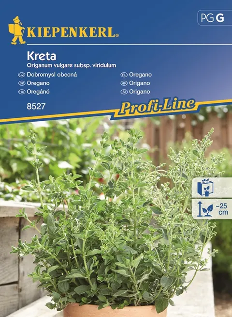 Nasiona oregano Kreta