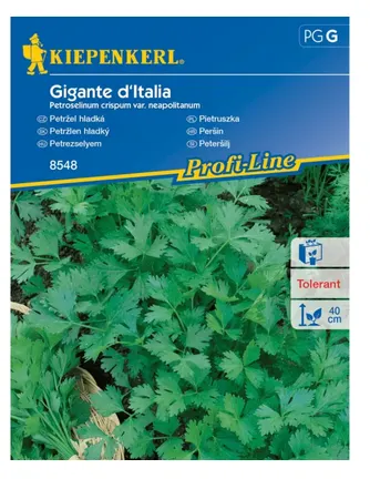Pietruszka naciowa 'Gigante Di Napoli' - nasiona Kiepenkerl