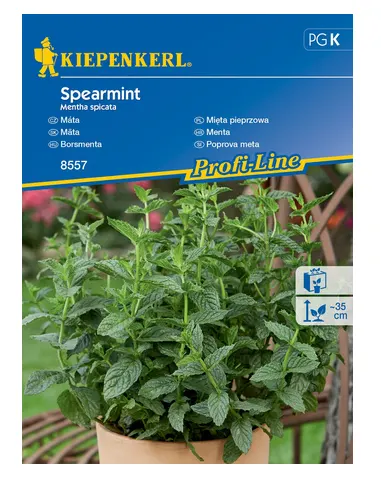 Nasiona Mięta Pieprzowa ''Spearmint'' 2g Kiepenkerl