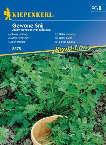 NASIONA SELER LIŚCIASTY GEWONE SNIJ BRUNO 8578 GRC