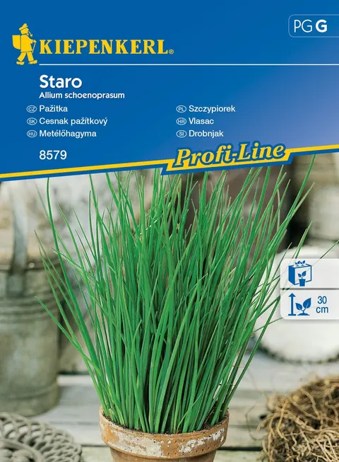 NASIONA SZCZYPIOREK STARO BRUNO GRCG