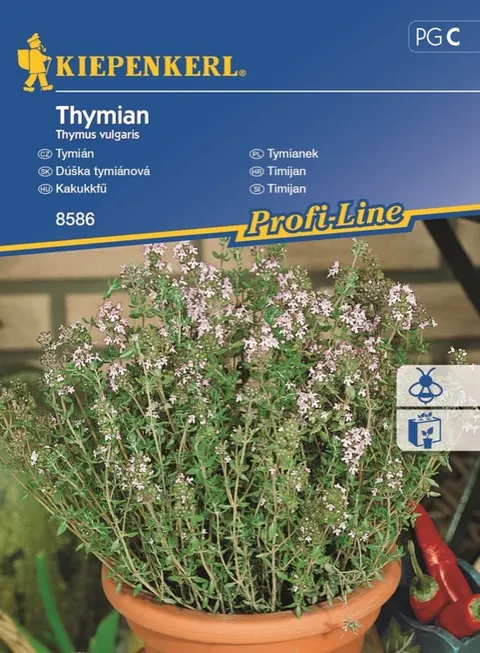 NASIONA TYMIANEK MEHRJAHRIG BRUNO 8586 GRCC