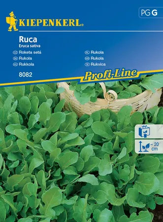 NASIONA RUKOLA BRUNO 8082 GRCG