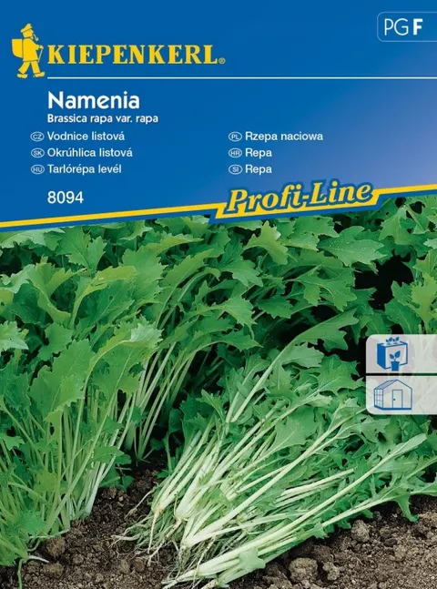 NASIONA RZEPA NACIOWA NAMENIA BRUNO 8094 GRCF