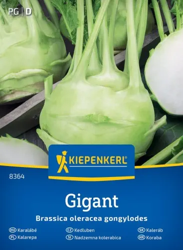 NASIONA KALAREPA GIGANT BRUNO 8363 GRCC