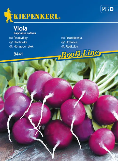 NASIONA RZODKIEWKA VIOLA BRUNO 8442 GRCF