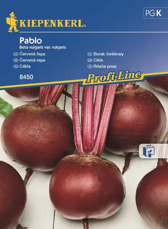 NASIONA BURAK ĆWIKŁOWY PABLO F1 BRUNO 8450 GRCK