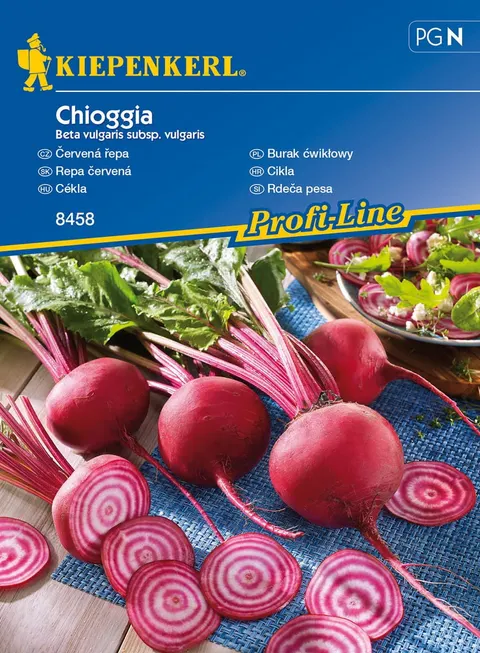 Burak Ćwikłowy 'Chioggia' - Odporny - Kiepenkerl
