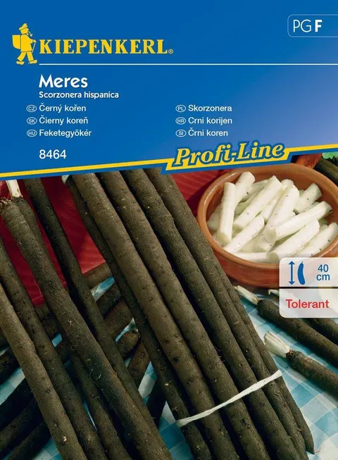 NASIONA SKORZONERA MERES BRUNO 8464 GRCF