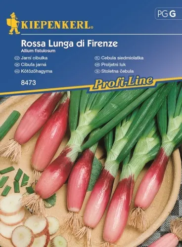 NASIONA CEBULA SIEDMIOLATKA ROSSA LUNGA DI FIRENZE BRUNO 8473 GRCG