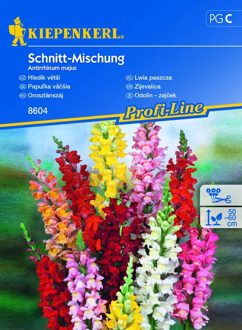 NASIONA WYŻLIN SCHNITT-MISCHUNG BRUNO 8604 GRCC