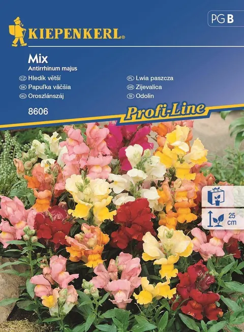 NASIONA WYŻLIN MIX BRUNO 8607 GRCC