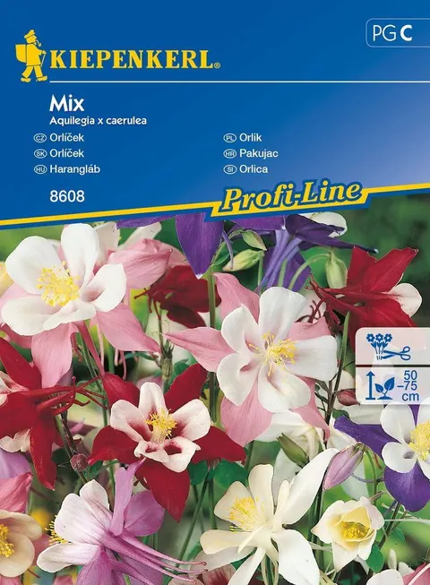 NASIONA ORLIK MIX BRUNO 8608 GRCC