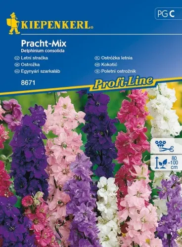 NASIONA OSTRÓŻKA LETNIA PRACHT-MIX BRUNO 8671 GRCC