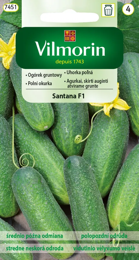 NASIONA OGÓREK SANTANA F1 GRUNT 3G GC4