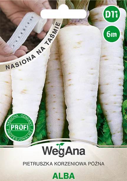 Pietruszka korzeniowa Alba 6M taśma