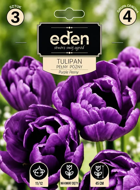 Tulipan 'Purple Peony' - Cebule kwiatowe 3 szt.