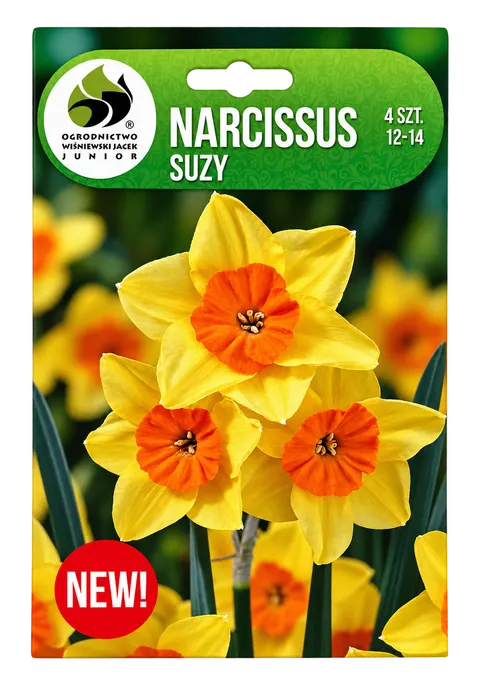 Narcyz 'Suzy' - Cebule kwiatowe 4 szt.