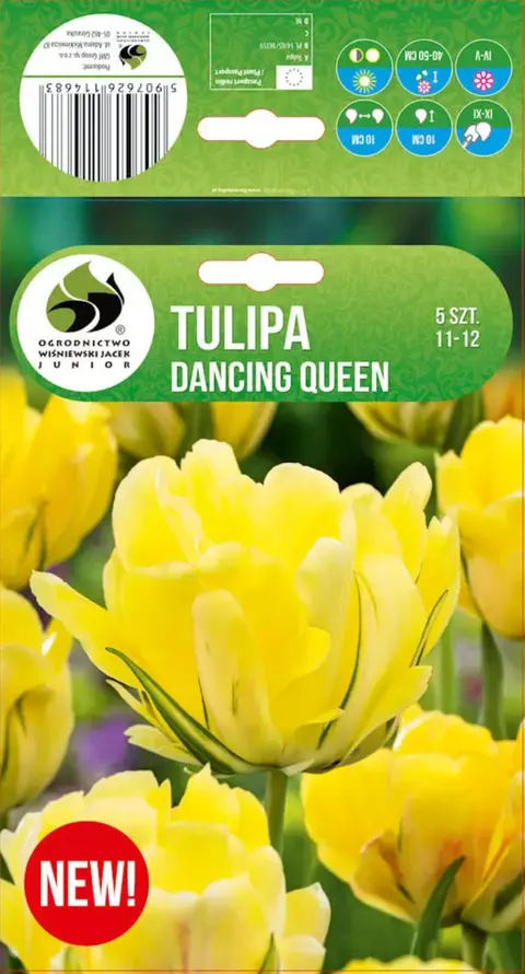 Tulipan 'Dancing Queen' - cebule kwiatowe 5 szt.