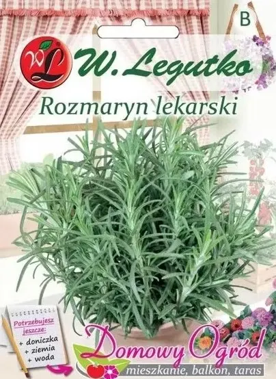 NASIONA STR - ROZMARYN LEKARSKI 0.1G GRC3 LEGUTKO
