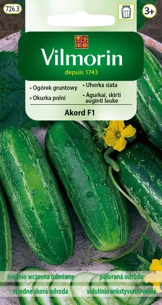 Nasiona ogórka Akord F1 gruntowy