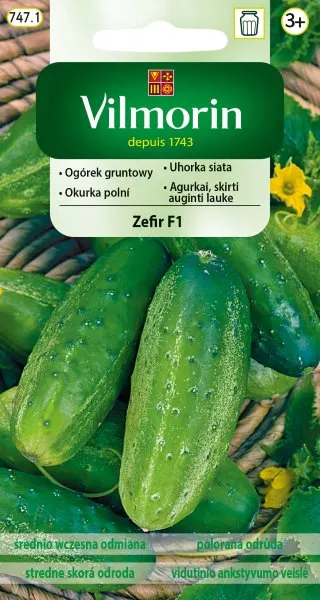Nasiona ogórka Zefir F1 gruntowy