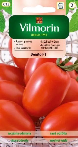 Pomidor Benito F1 - gruntowy karłowy na przetwory