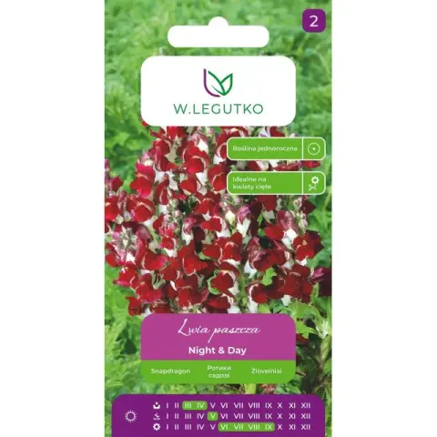 Lwia paszcza Night & Day - nasiona 0,6 g