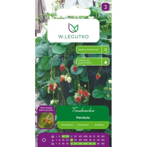 Nasiona Truskawka Pendula czerwona 0,01g