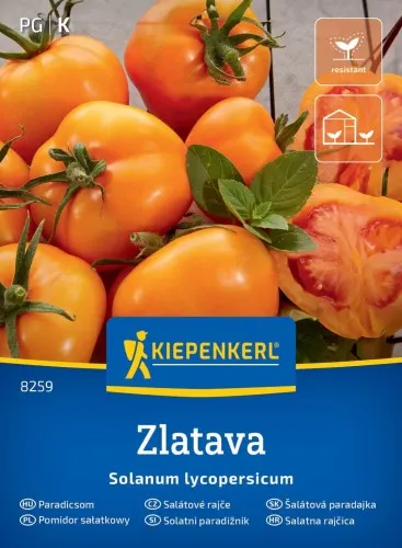 Nasiona Pomidor sałatkowy Zlatava
