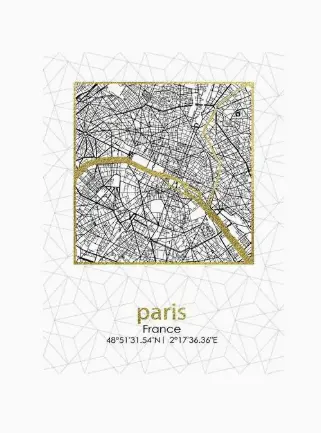 Obraz Planu Miasta Paris - 45x60x1,8cm