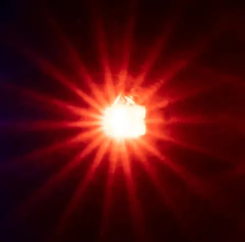 5 migających diod LED H0-TT-N-Z, pomarańczowy, Faller 163741