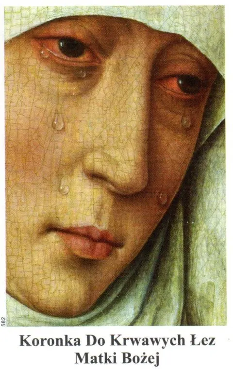Obrazek Koronka do Krwawych Łez Matki Bożej - 03398
