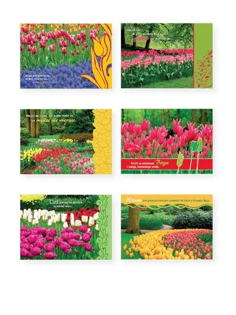 TULIPANY kartki ep 1-12 60 szt. - ! - 08248 5907564016698
