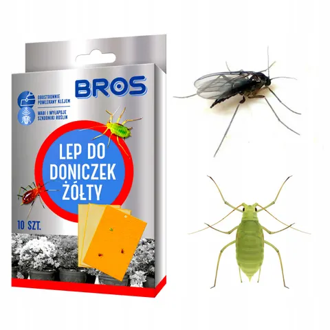 Bros - żółty lep do doniczki na muszki owocówki 10 szt.