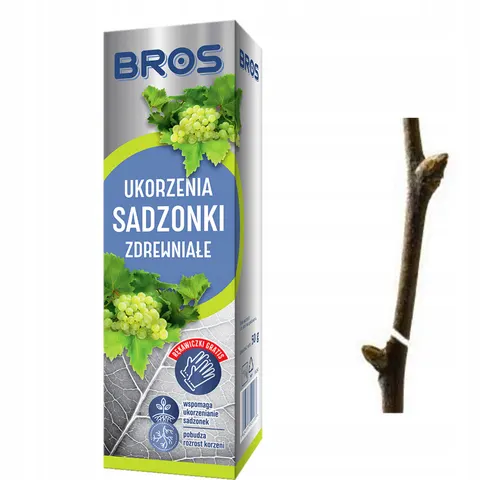 Bros - ukorzenia sadzonki zdrewniałe 50g + rękawiczki