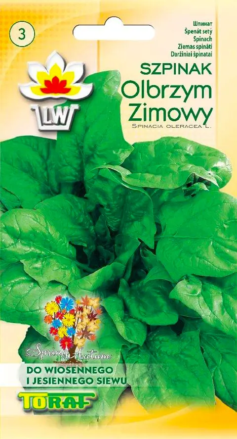 Toraf - nasiona szpinak olbrzym zimowy 10g