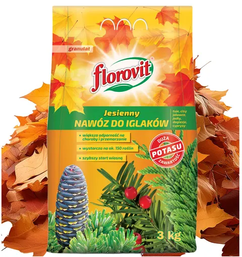 Florovit Nawóz jesienny do iglaków 3 kg