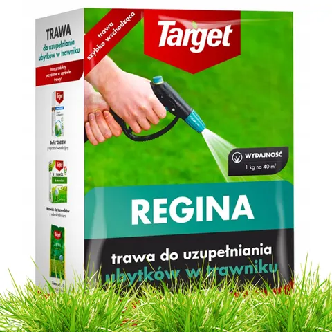 Target - nasiona traw do ubytków w trawniku regina 1kg