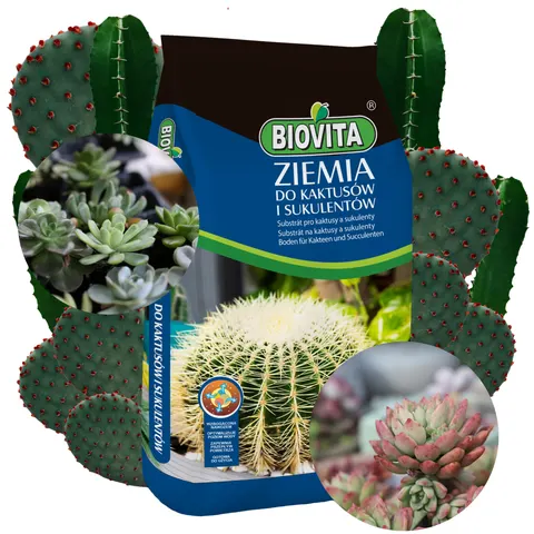 Biovita Ziemia do kaktusów i sukulentów 5L specjalistyczne, gotowe podłoże z nawozem i keramzytem, lekka i przepuszczalna struktura