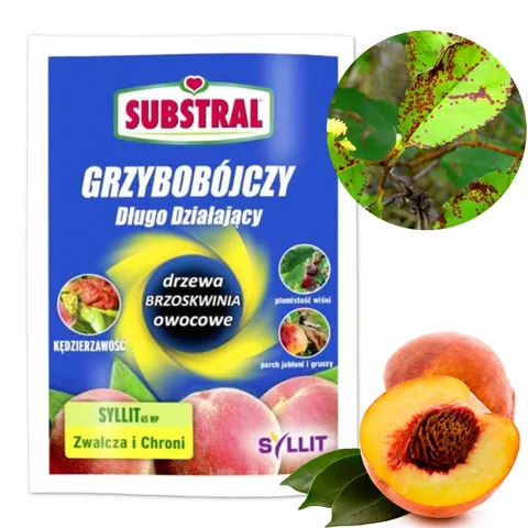 Substral - syllit 65wp 5g