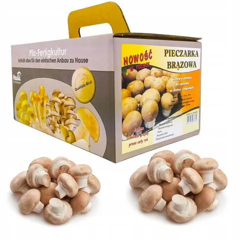 Niko - pieczarka brązowa ok. 5kg