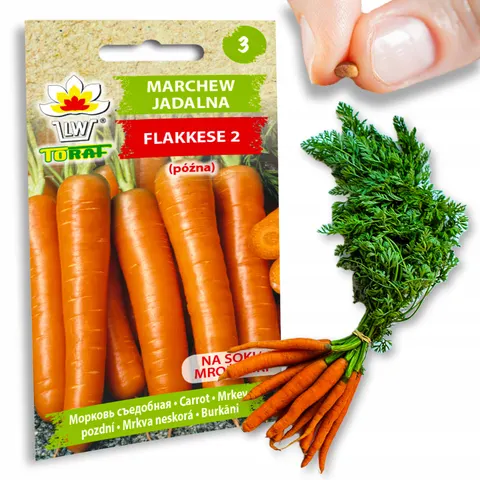 Toraf - nasiona marchew flakkese 2 (późna, na soki i mrożonki) - 5g