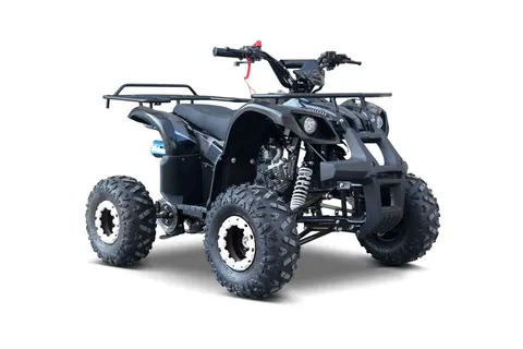 Pojazd Quad Spalinowy WILDPEAK 110cc Czarny