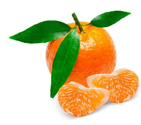 KLEMENTYNKI ŚWIEŻE BIO (około 0,50 kg)