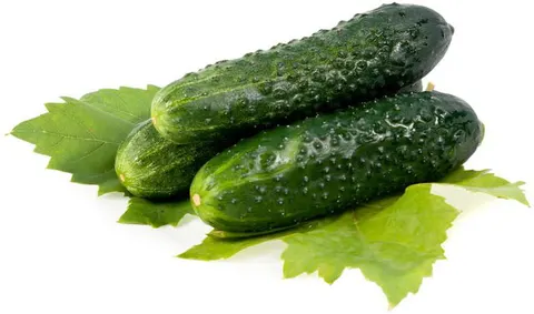 OGÓREK GRUNTOWY ŚWIEŻY BIO (POLSKA) (około 1,00 kg)