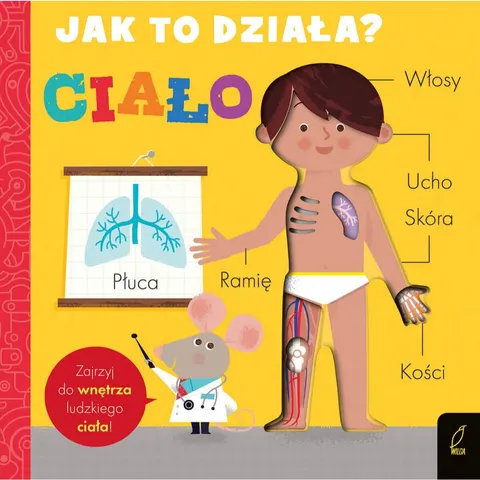 Jak to działa? CIAŁO / Wydawnictwo Wilga